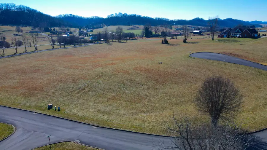 Lot 61 Walnut Tree Drive, Church Hill, TN 37642 - #2