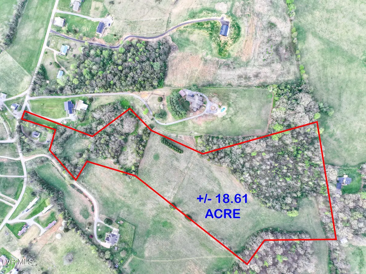 1625 Lick Hollow Road, Greeneville, TN 37743 - #1