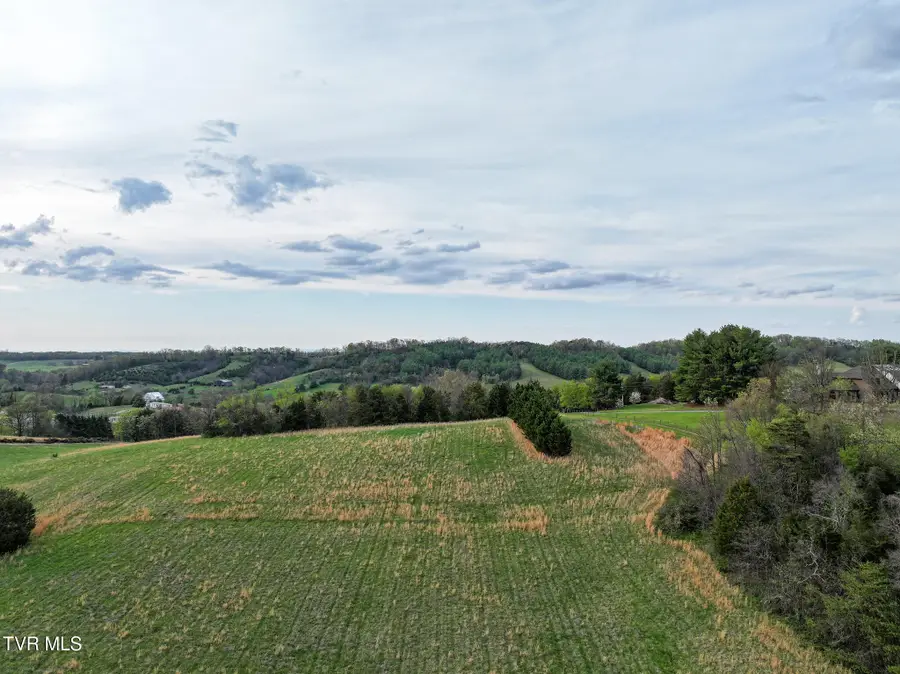 1625 Lick Hollow Road, Greeneville, TN 37743 - #2