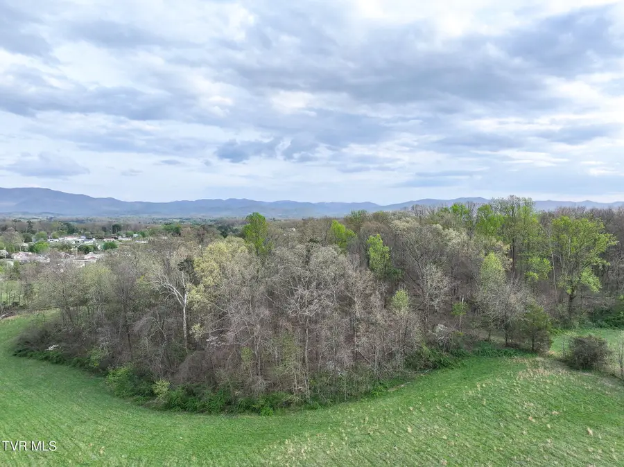1625 Lick Hollow Road, Greeneville, TN 37743 - #3