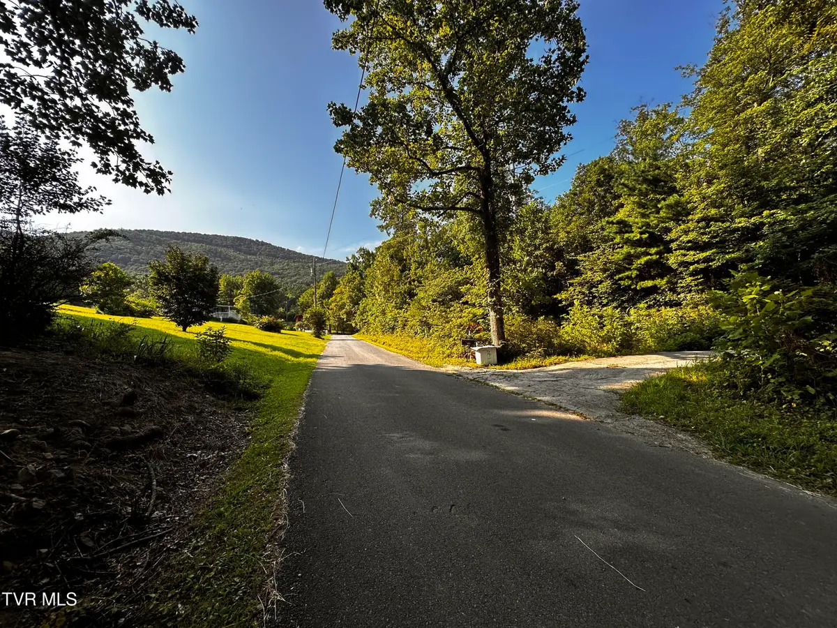 8 Acres Promiseland Way, Parrottsville, TN 37843 - #1