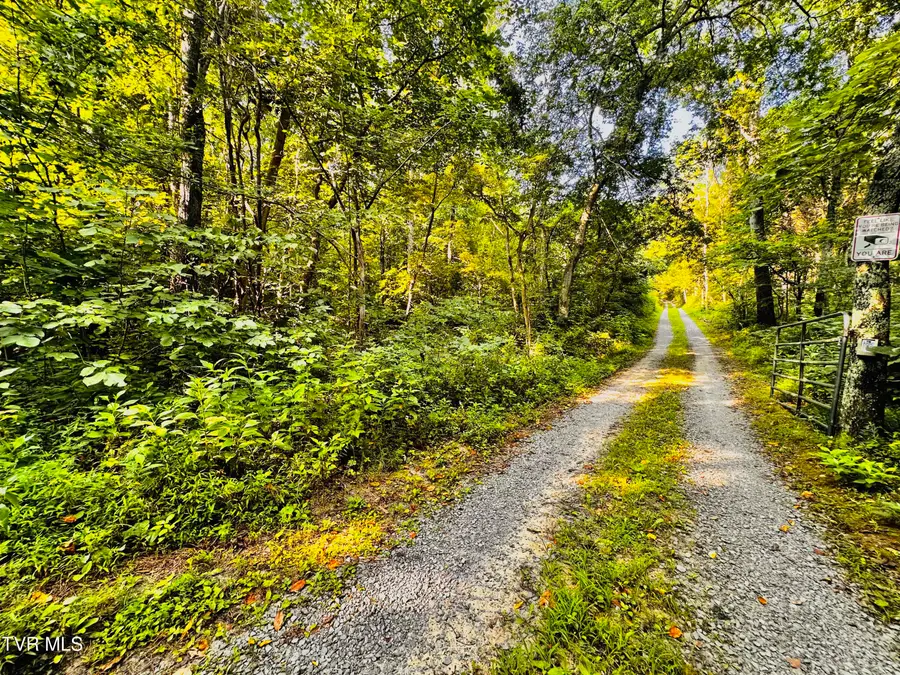 8 Acres Promiseland Way, Parrottsville, TN 37843 - #3