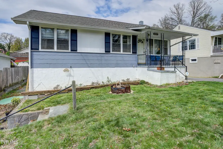 307 Walker Street, Kingsport, TN 37665 - #3