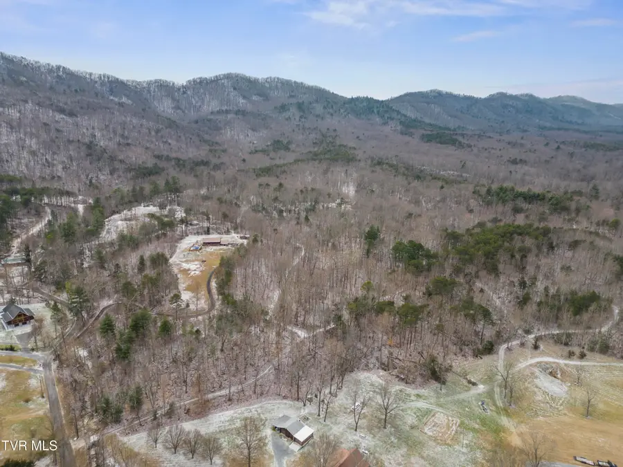 Tbd Tweed Springs Road, Greeneville, TN 37743 - #3