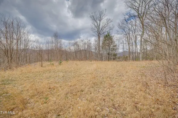 614 Tulip Poplar Trail, Butler, TN 37640