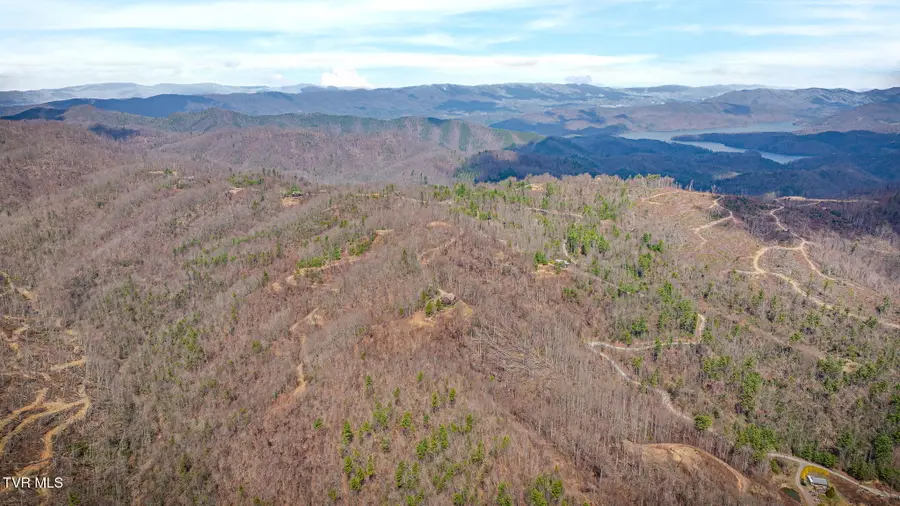 614 Tulip Poplar Trail, Butler, TN 37640 - #3