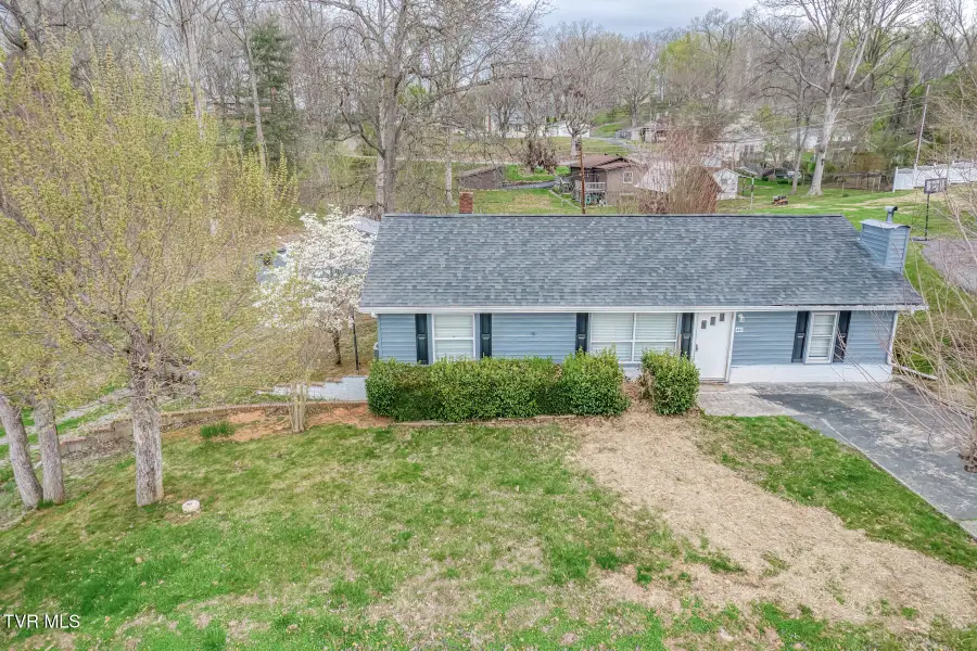 441 Mimosa Street, Mount Carmel, TN 37645 - #2