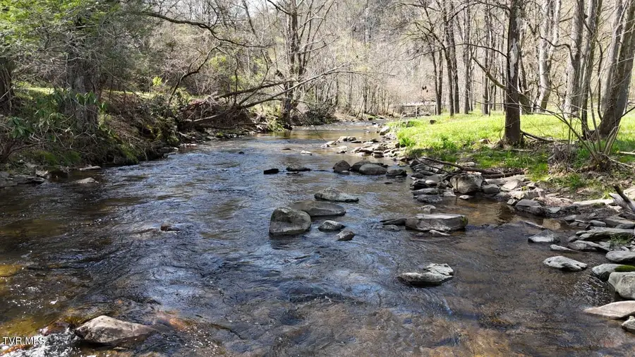 1770 Old 15th Road, Del Rio, TN 37727 - #2