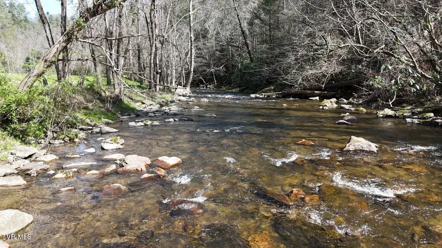 1770 Old 15th Road, Del Rio, TN 37727 - #3