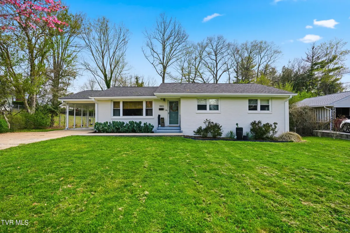 1503 Linden Street, Johnson City, TN 37601 - #1