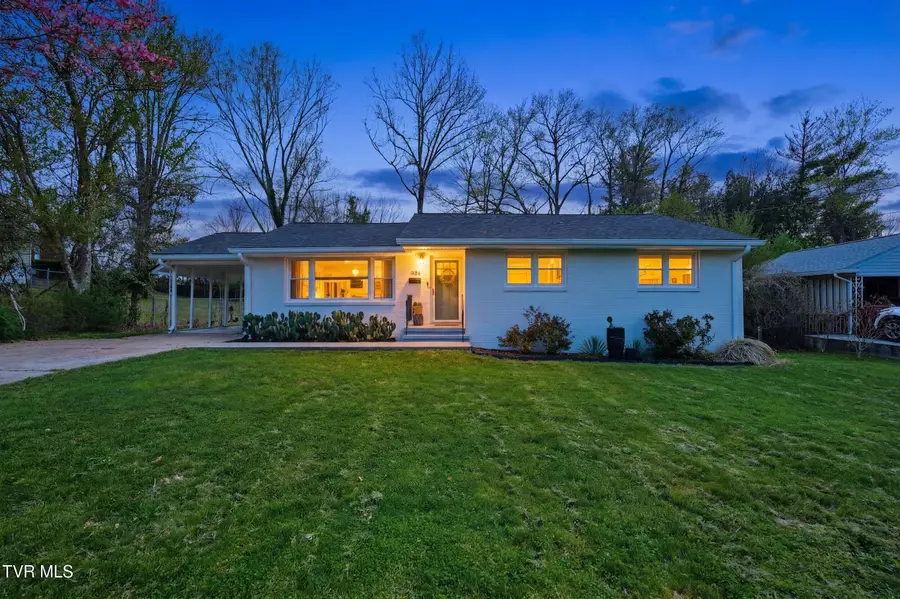 1503 Linden Street, Johnson City, TN 37601 - #2