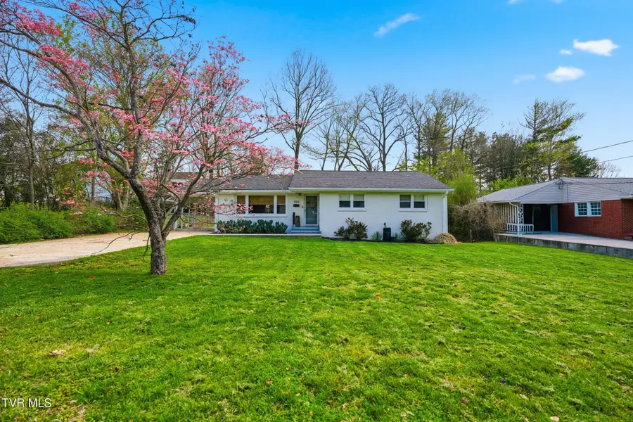 1503 Linden Street, Johnson City, TN 37601 - #3