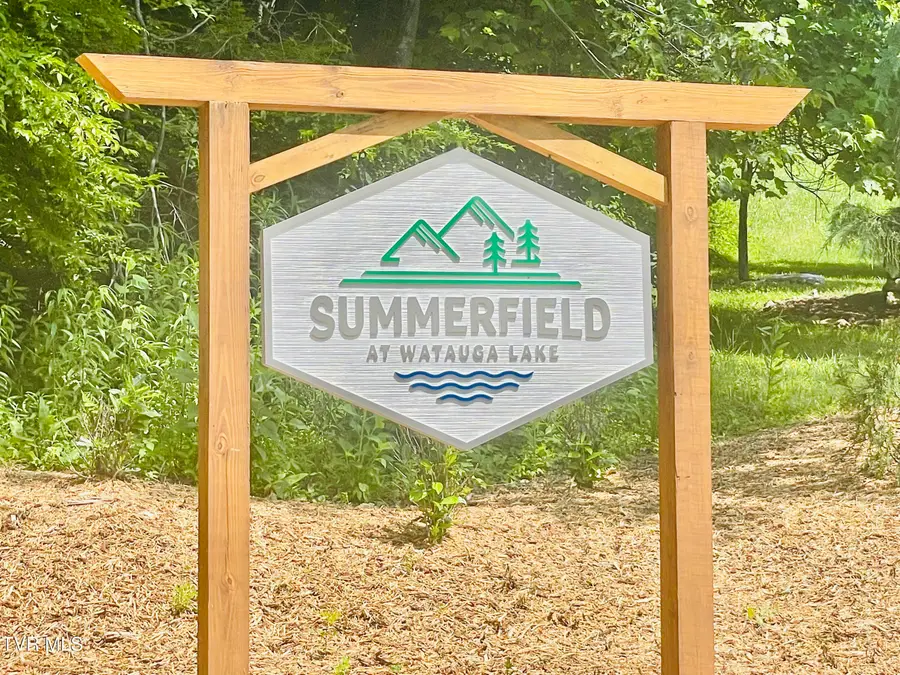 Lot 21 Lake Mist Trail, Butler, TN 37640 - #3