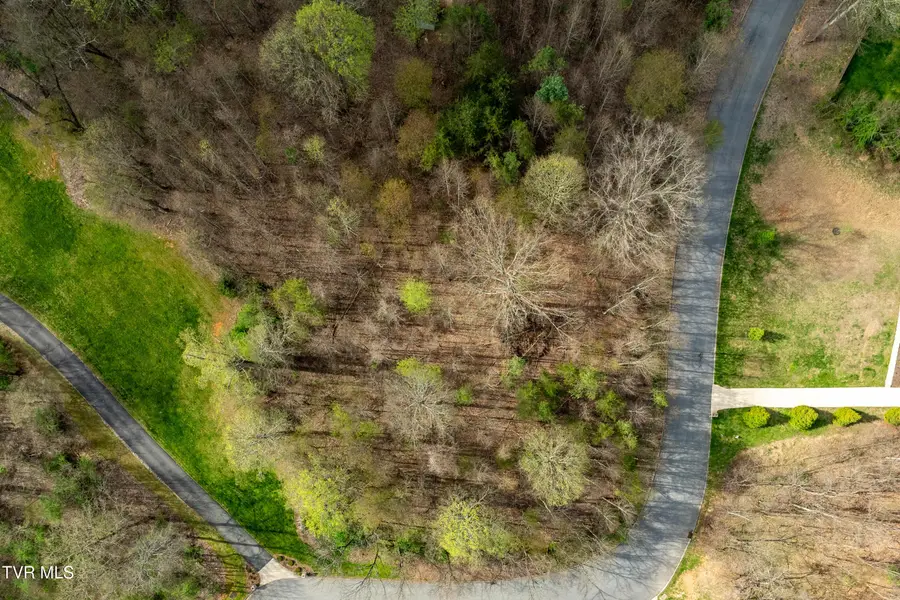 Tbd Randall Laura Lane, Bluff City, TN 37618 - #3