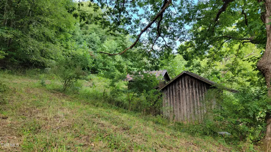 00 Dry Stone Branch Road, Mountain City, TN 37683 - #3