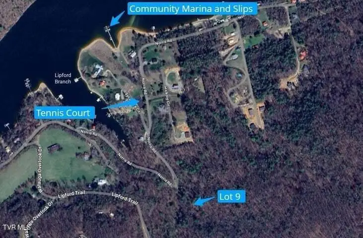 Tbd Norris Road, Butler, TN 37640 - #3