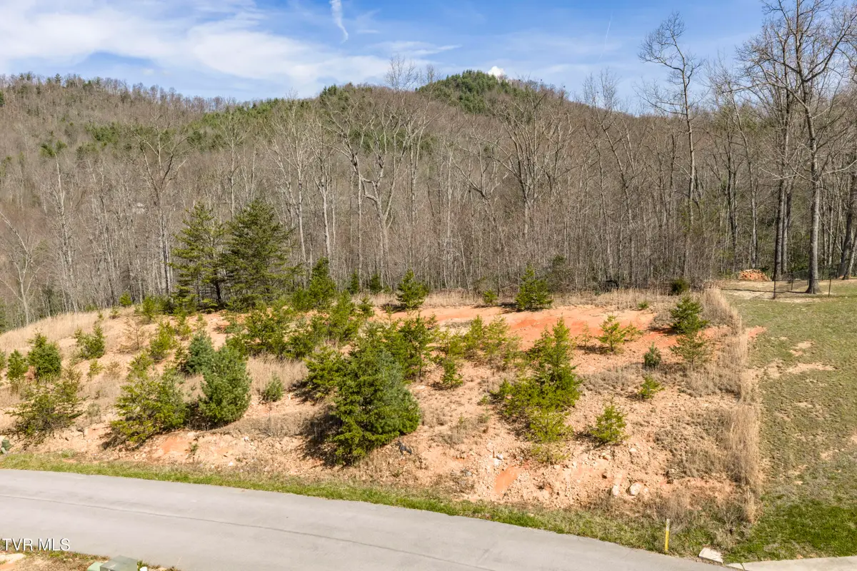 Lot 47 Homestead Drive, Unicoi, TN 37692 - #1