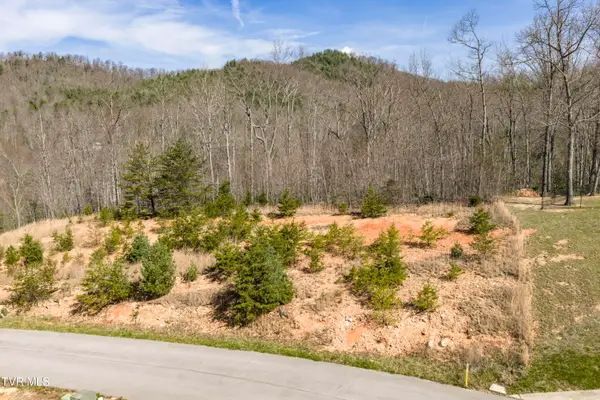 Lot 47 Homestead Drive, Unicoi, TN 37692