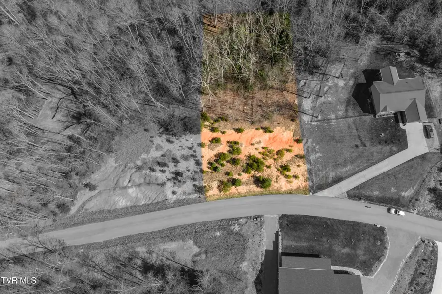 Lot 47 Homestead Drive, Unicoi, TN 37692 - #2