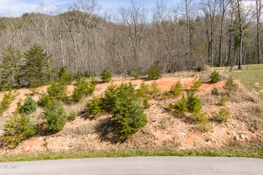 Lot 47 Homestead Drive, Unicoi, TN 37692 - #3