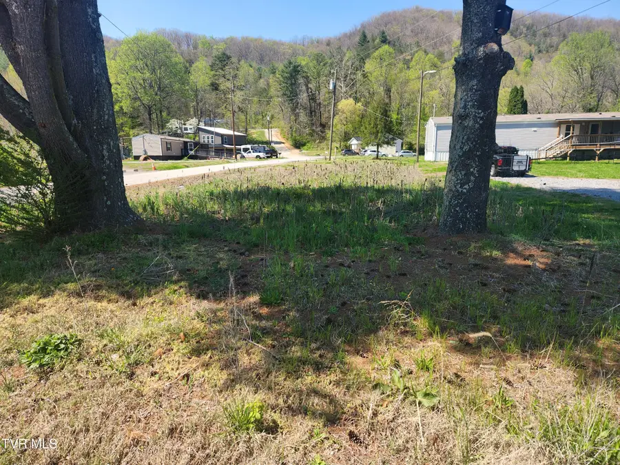175 Bumpus Cove Road, Erwin, TN 37650 - #2