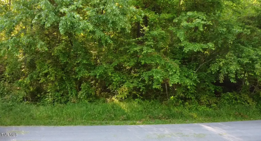 305 Chandler Circle, Greeneville, TN 37743 - #2