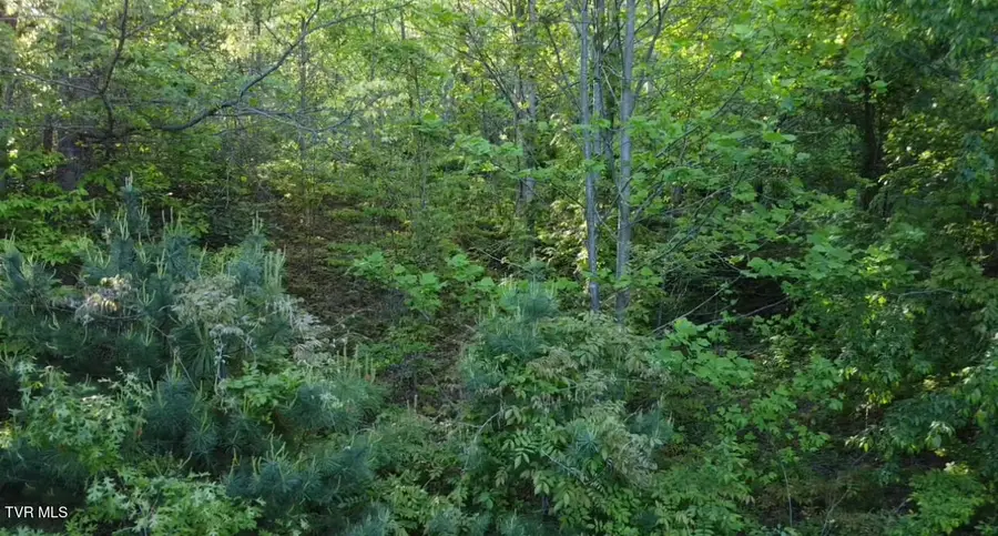 305 Chandler Circle, Greeneville, TN 37743 - #3