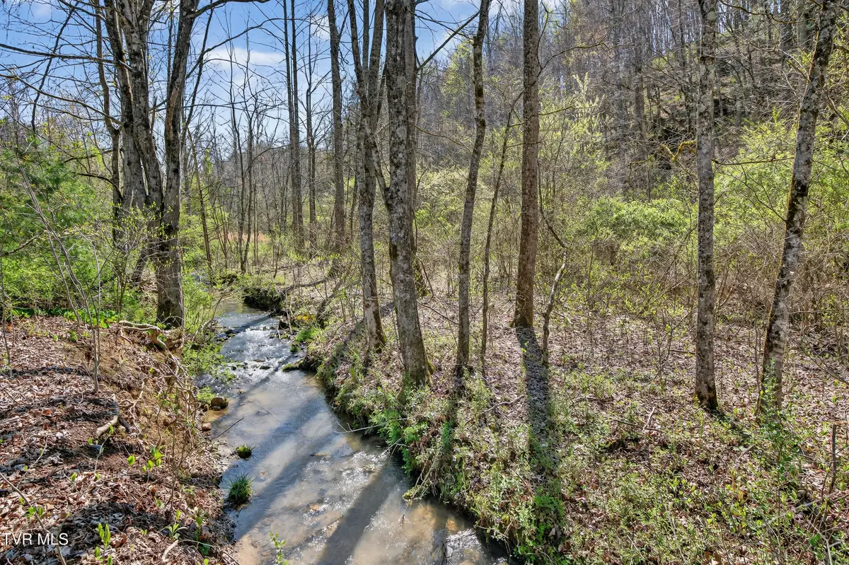 2484 Denton Valley Road, Bristol, TN 37620 - #1