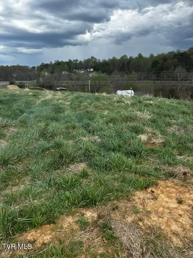 694 Egypt Road, Bluff City, TN 37618 - #2