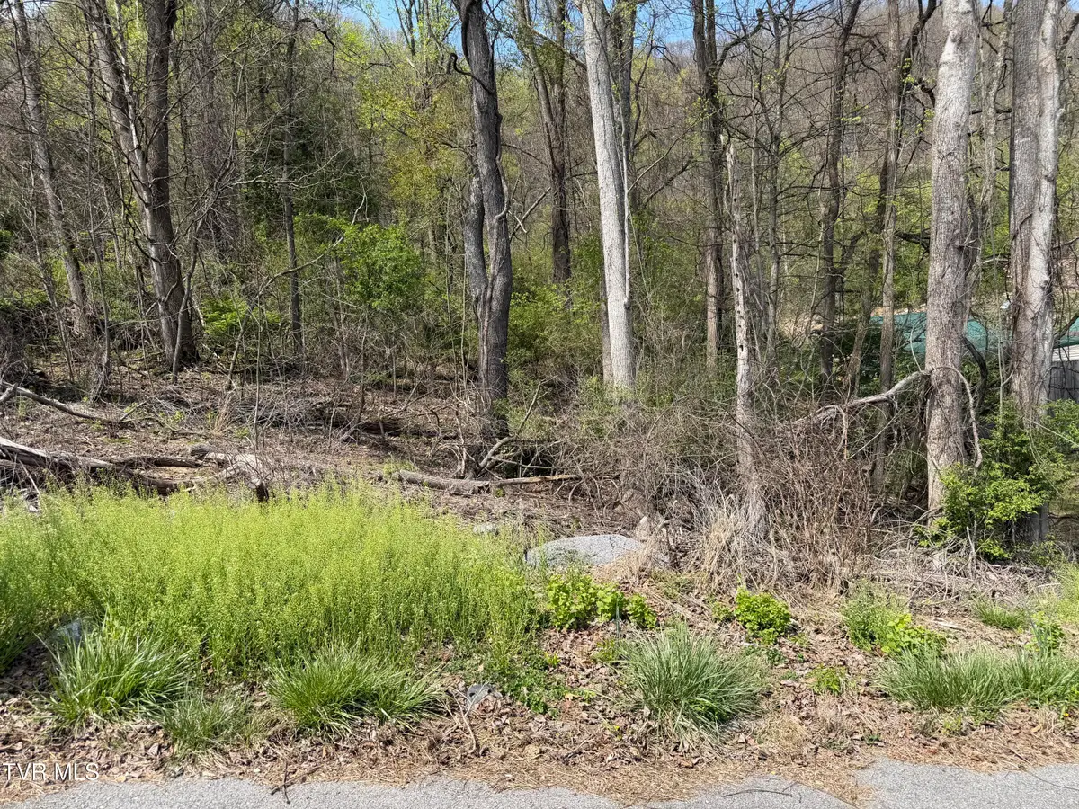 513 San Antonio Drive, Bristol, TN 37620 - #1