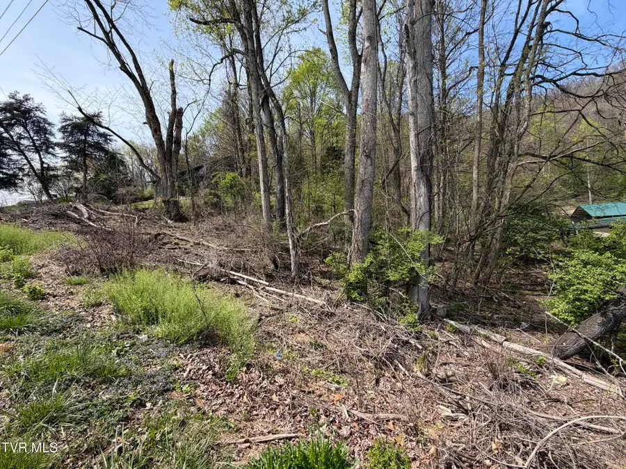 513 San Antonio Drive, Bristol, TN 37620 - #3