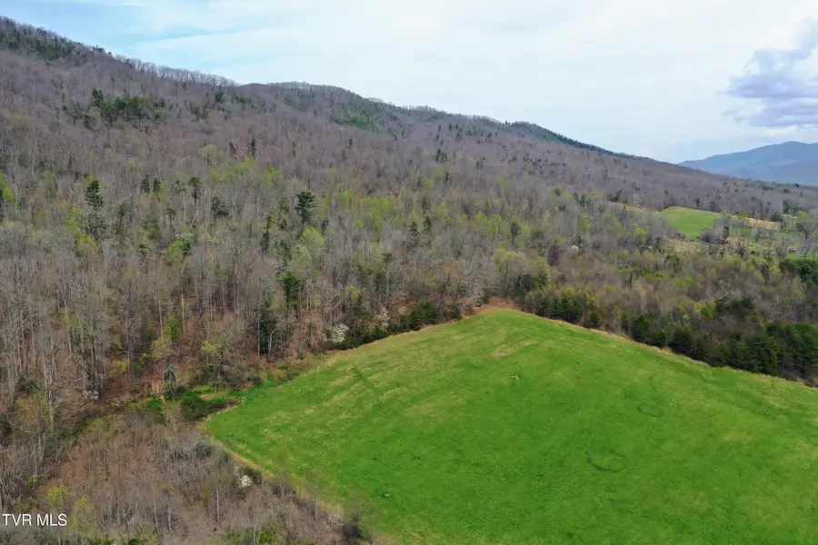 43/Ac Tbd Houston Valley Tract 3 Road, Greeneville, TN 37743 - #2