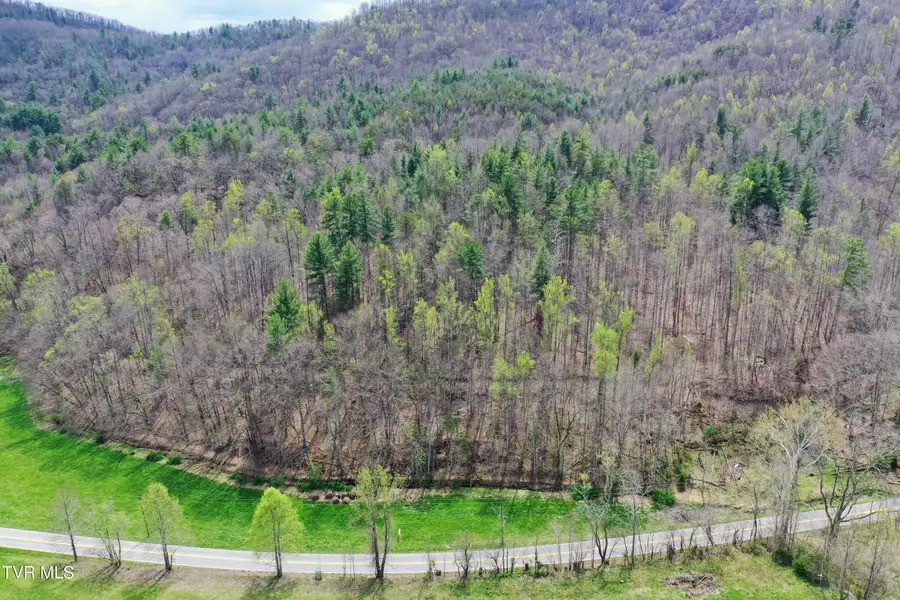 116/Ac Tbd Houston Valley Tract 6 Road, Greeneville, TN 37743 - #2