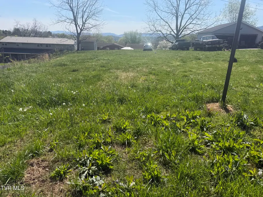 513 Stanley Avenue, Johnson City, TN 37604 - #2