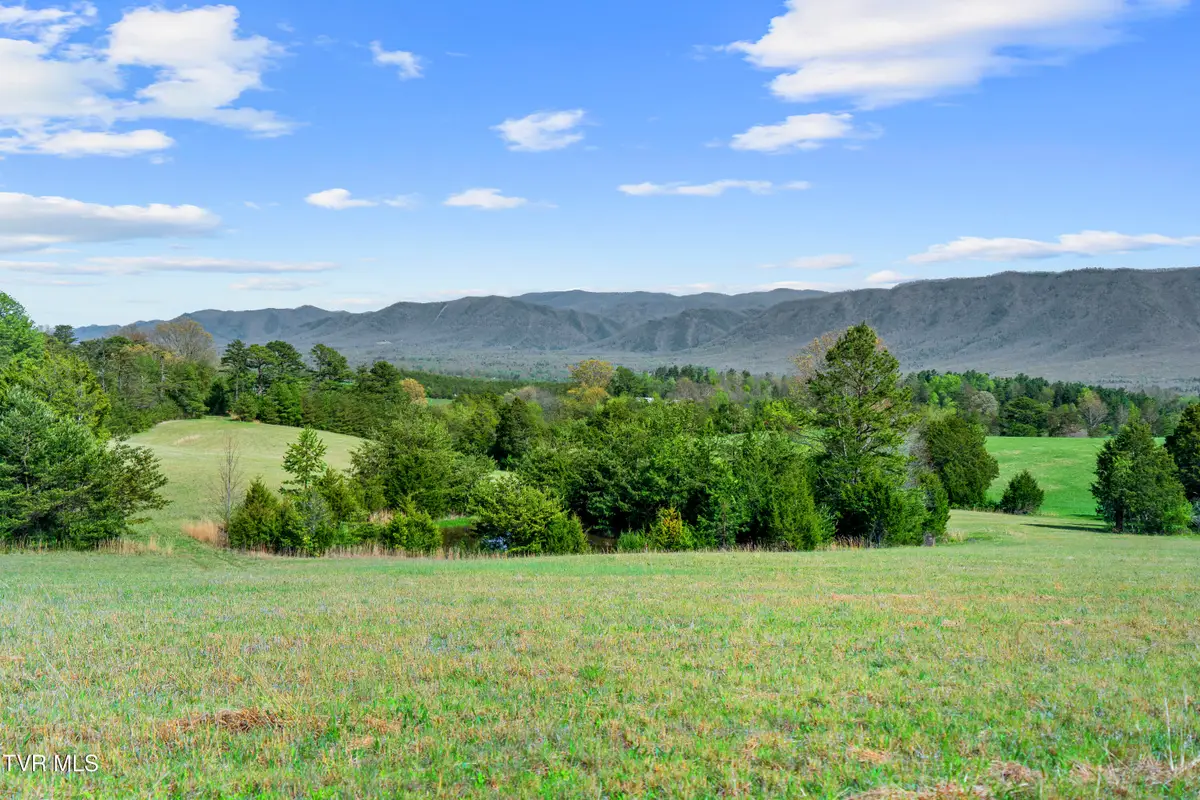 Tract 9 Ash Meadow Drive, Greeneville, TN 37743 - #1