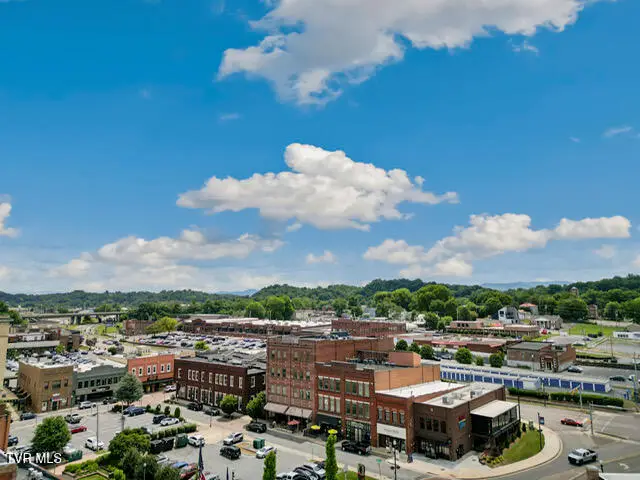 116 Tipton Street #Apt 406, Johnson City, TN 37604 - #3