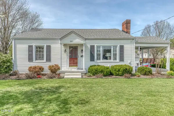 203 School Avenue, Blountville, TN 37617