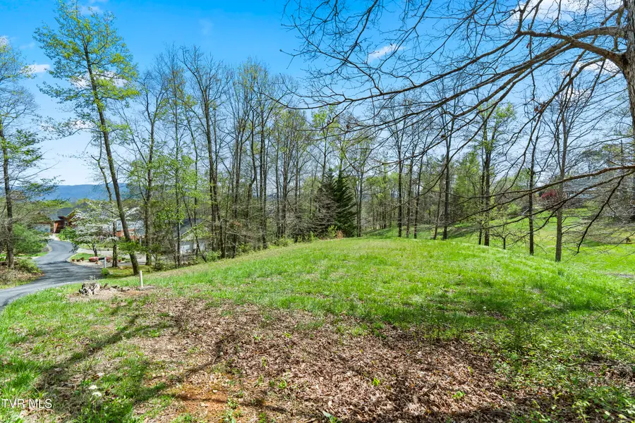 Tbd Arnold Palmer Drive, Greeneville, TN 37743 - #2