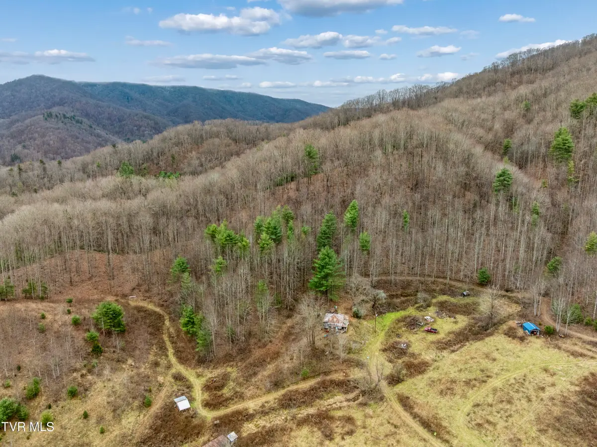Tbd Tipton Branch Road, Flag Pond, TN 37657 - #1