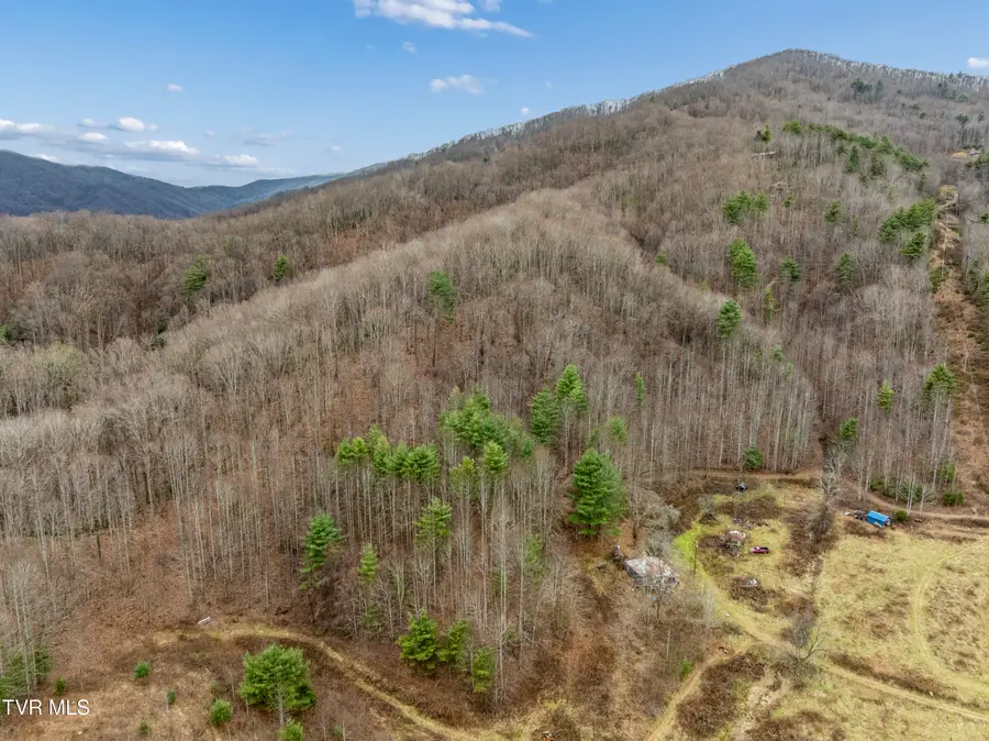 Tbd Tipton Branch Road, Flag Pond, TN 37657 - #2
