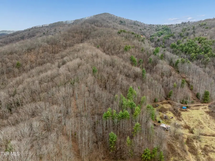 Tbd Tipton Branch Road, Flag Pond, TN 37657 - #3