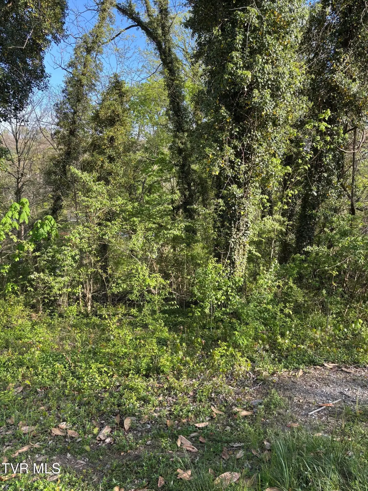 Lot 14 Ashley Street, Kingsport, TN 37664 - #1