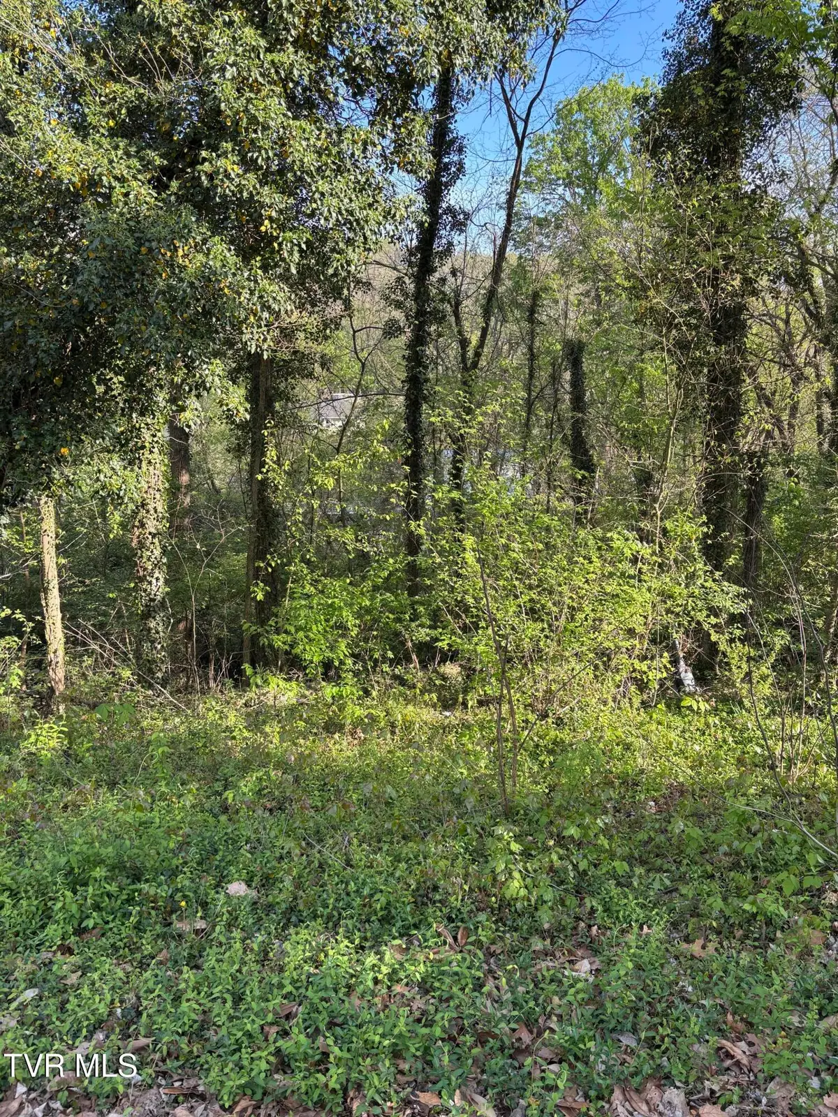 Lot 15 Ashley Street, Kingsport, TN 37664 - #1