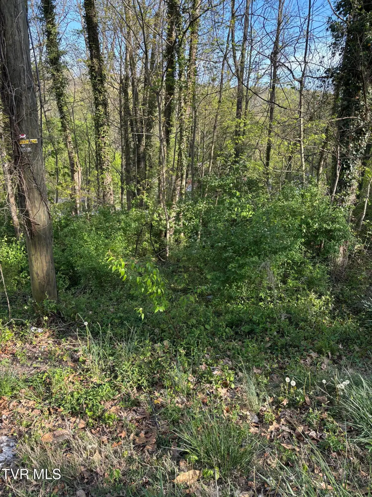 Lot 16 Ashley Street, Kingsport, TN 37664 - #1