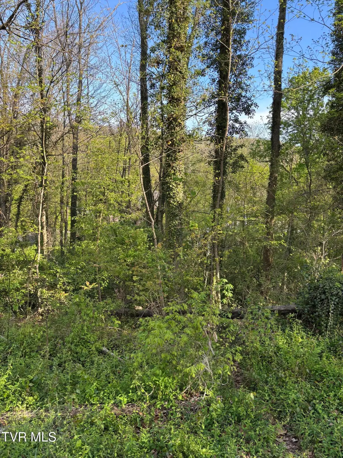 Lot 17 Ashley Street, Kingsport, TN 37664 - #1