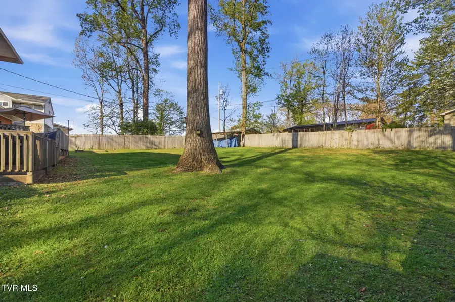209 Haynes Boulevard, Greeneville, TN 37745 - #3
