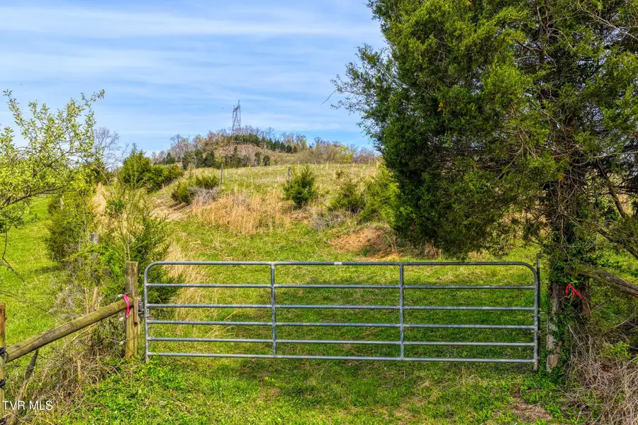 Tbd Webster Valley Road, Rogersville, TN 37857 - #2