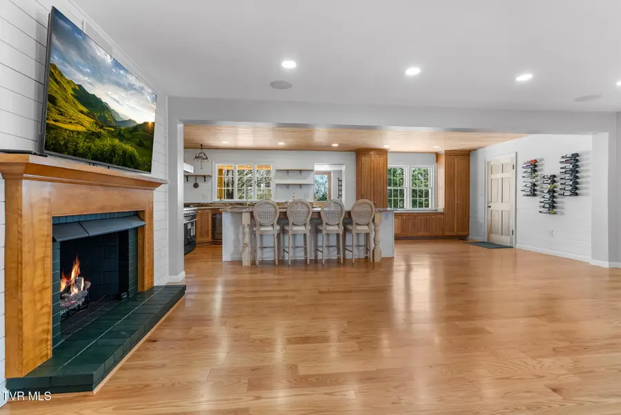 31142 Princeton Avenue, Meadowview, VA 24361 - #3