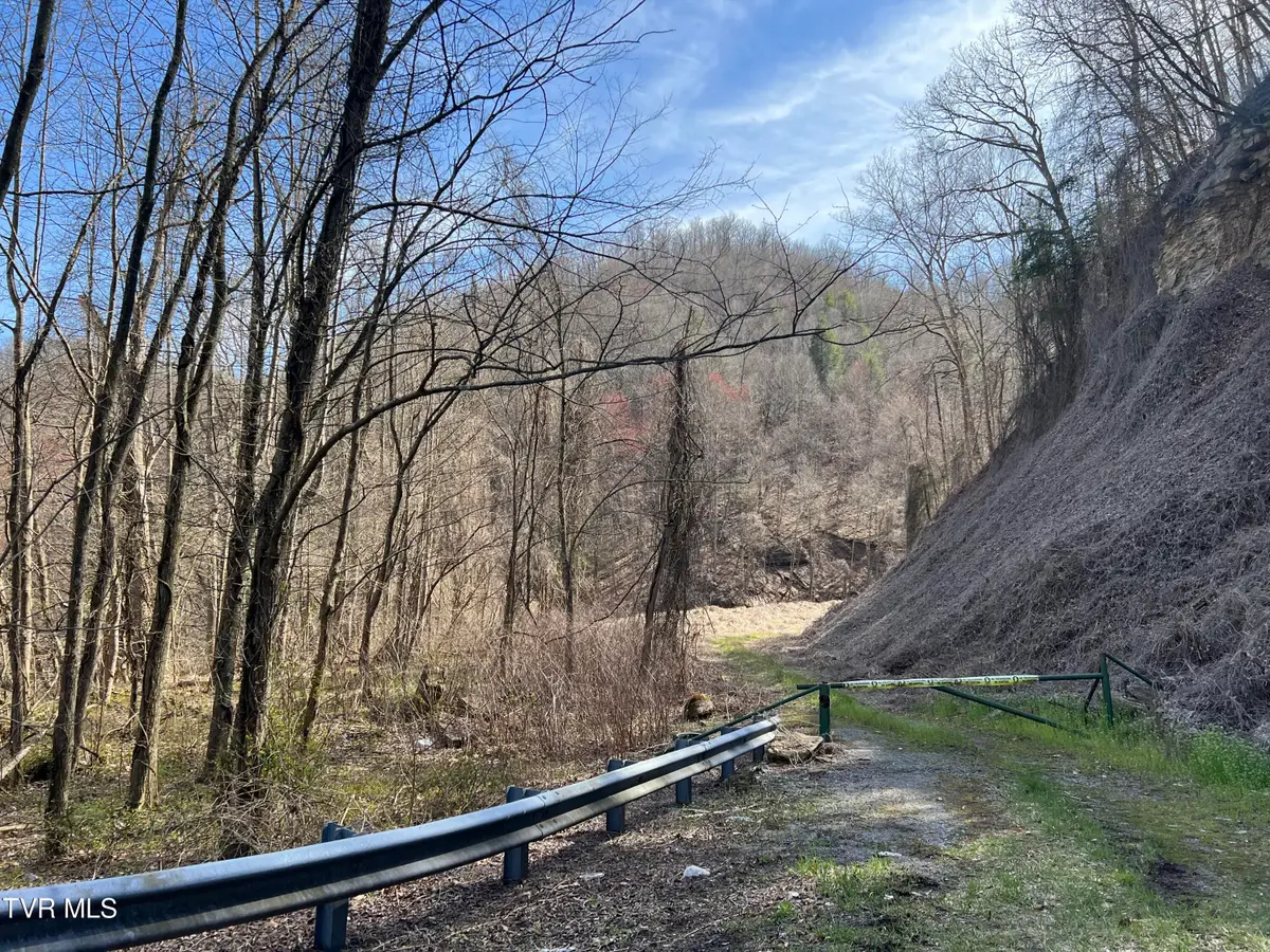 Tbd Bull Run Road, Coeburn, VA 24230 - #1