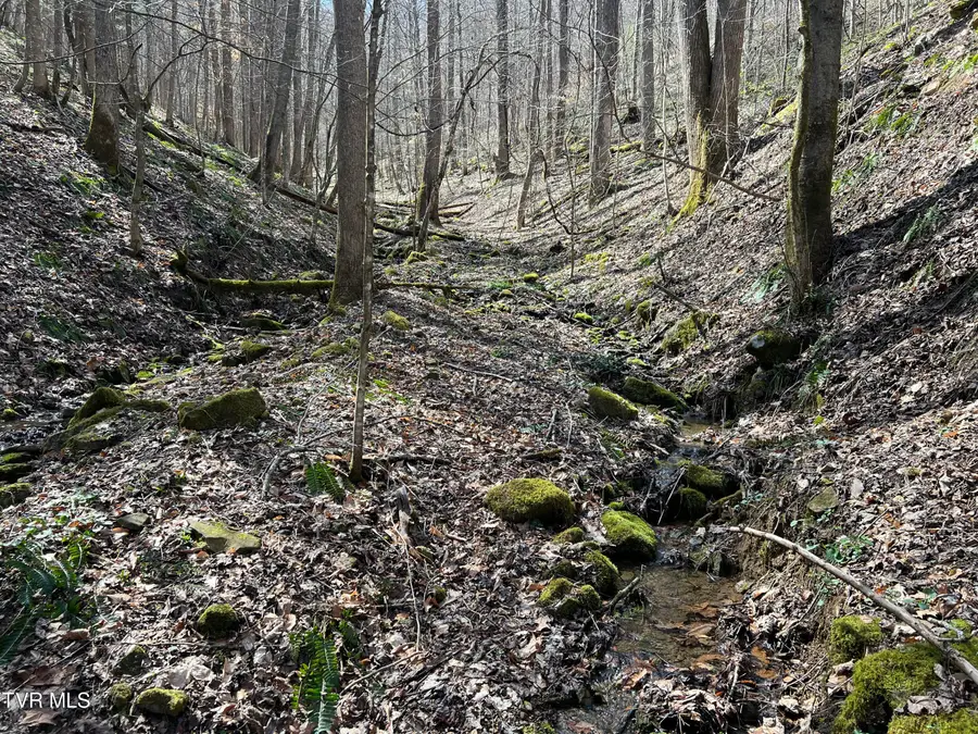 Tbd Bull Run Road, Coeburn, VA 24230 - #3